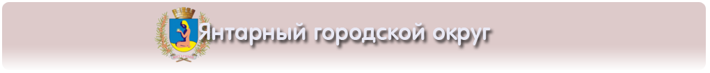 Список учебных и дошкольных учреждений янтарного